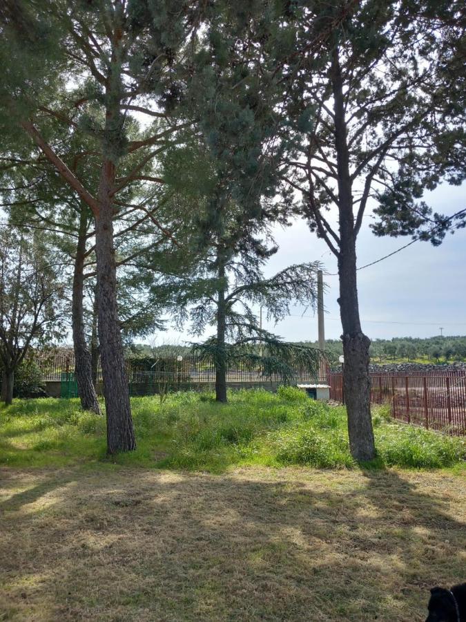 Villa Udi Bitonto Eksteriør bilde