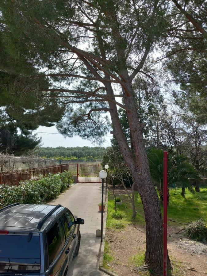 Villa Udi Bitonto Eksteriør bilde